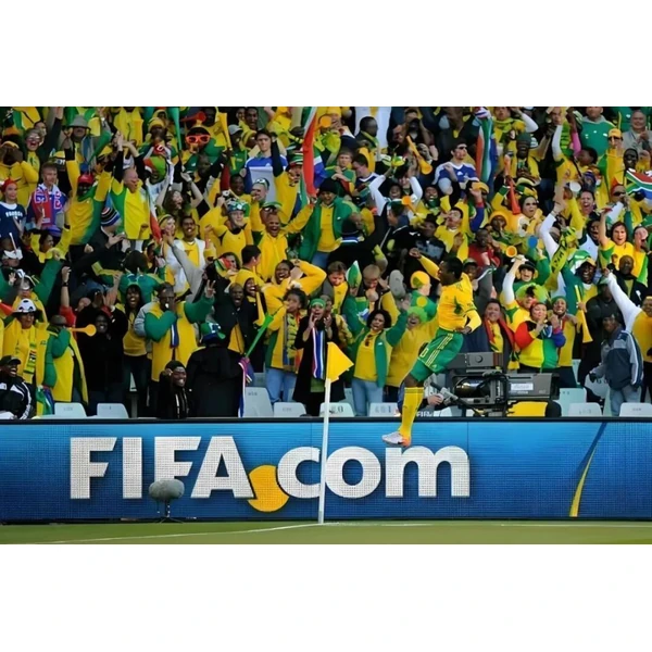 开云FIFA APP