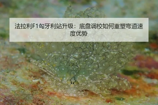 法拉利F1匈牙利站升级：底盘调校如何重塑弯道速度优势