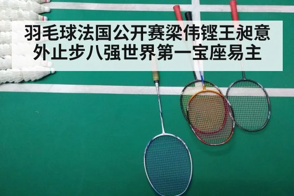 羽毛球法国公开赛梁伟铿王昶意外止步八强世界第一宝座易主